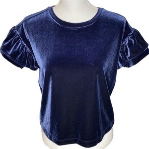 madewell memento ruffle sleeve top